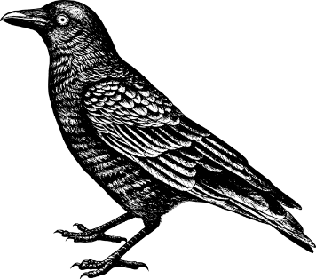 El Internado